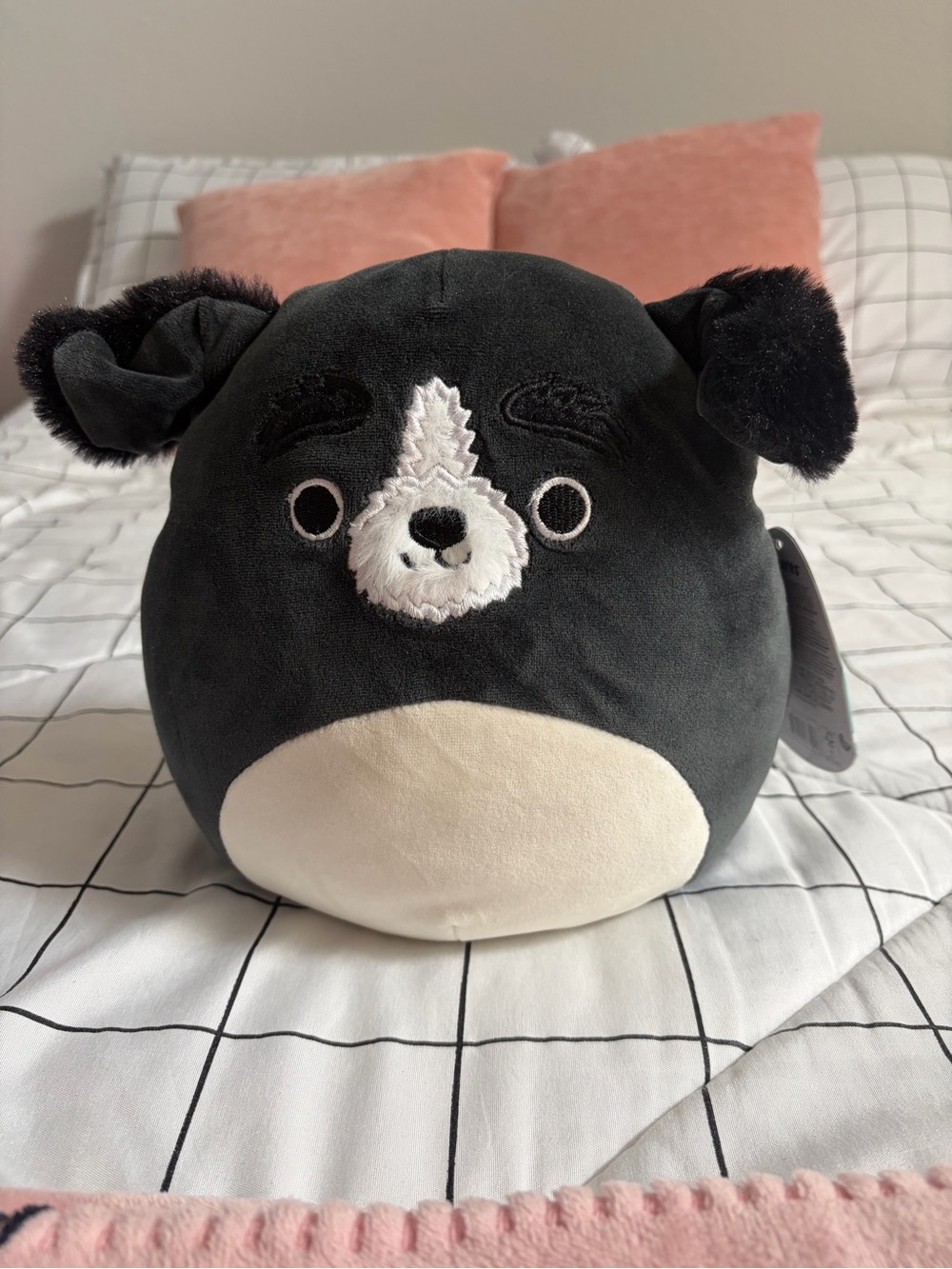 Black & Cream Pauline the dog- Squishmallow